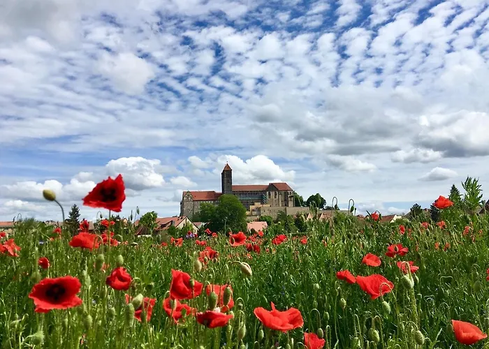 Himmlischer Hof - Juwel Von 1477 Mit P, Romantischer Innenhof, Kamin, Oeko, Denkmal *