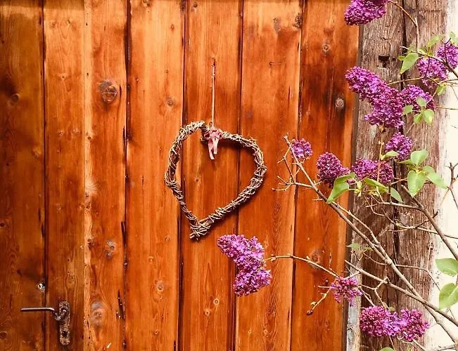 Himmlischer Hof - Juwel Von 1477 Mit P, Romantischer Innenhof, Kamin, Oeko, Denkmal Apartamento *